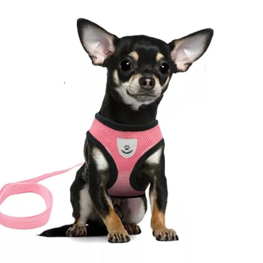 Dog Walking Harness Lead