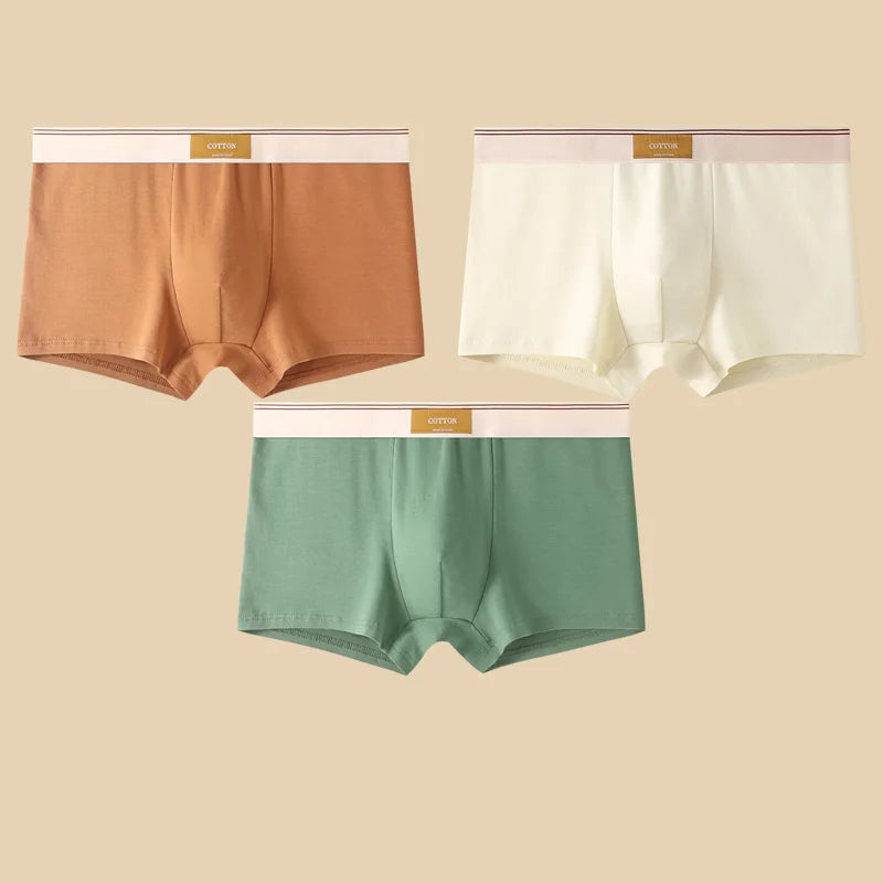 Men's Cotton Boxer Shorts