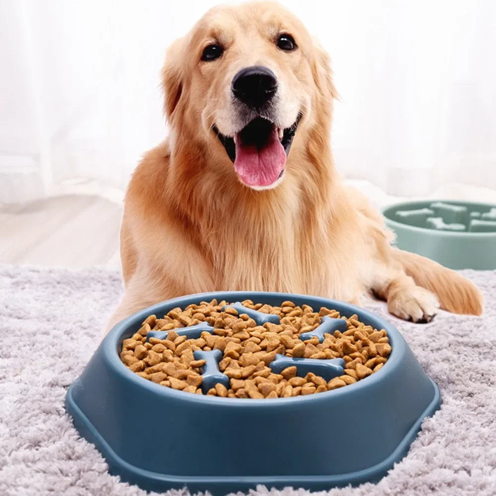 Pet Dog Feeding Food Bowl