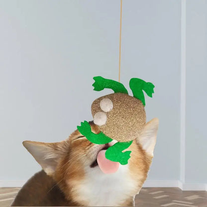 Assortments Cats Molar Catnip Toys