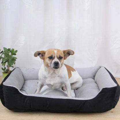 Dog Internet Famous Nest Bed