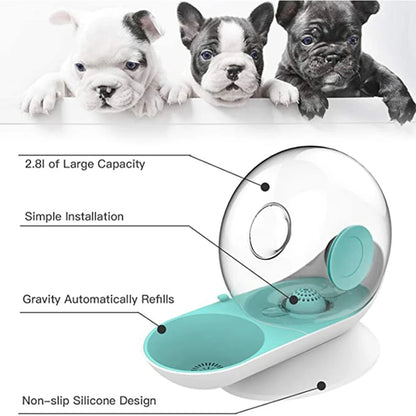 2.8L Cat Water Fountain Snails