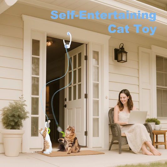 Cat Electric Door Hanging Cat Toy