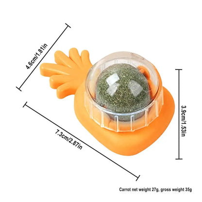 Catnip Wall Ball Toys