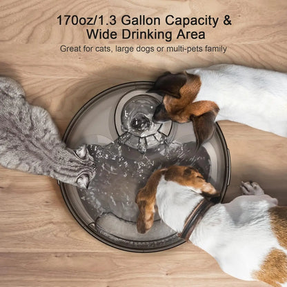 Pet Water Fountain, 170oz/1.3Gallon/5L