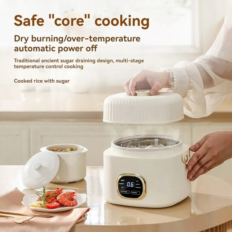 A Household Rice Cooker