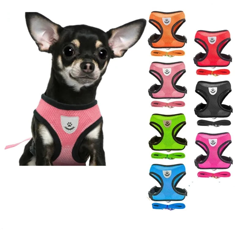 Dog Walking Harness Lead