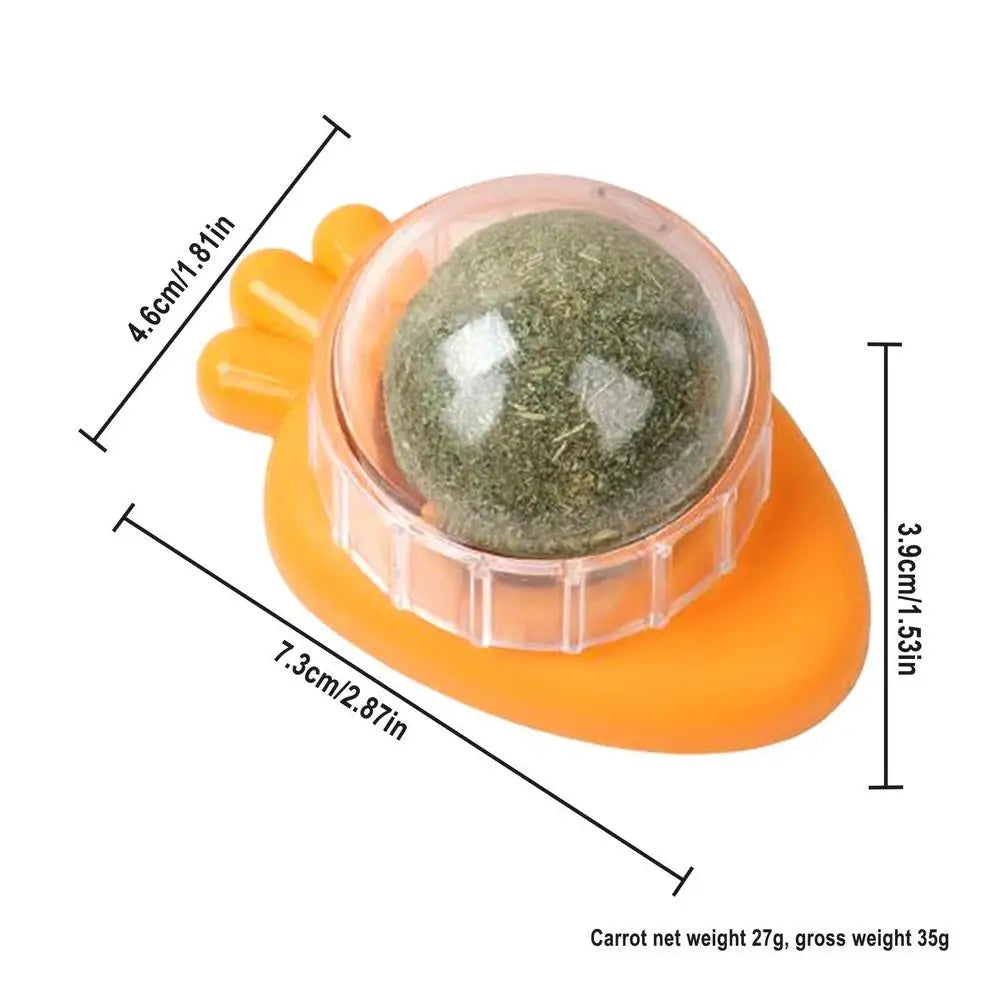 Catnip Wall Ball Toys