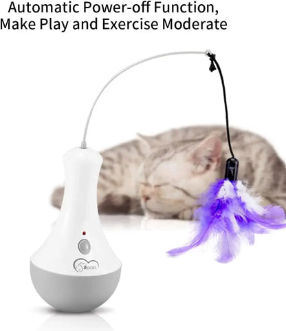 Funny Feather Kitten Teaser Interactive Toys