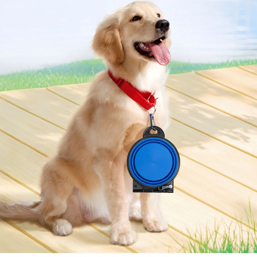 2-in-1 foldable pet feeding bowl