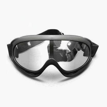 Ski Snowboard Goggles