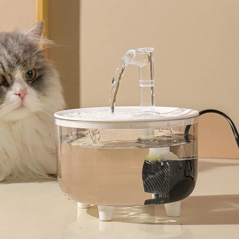 Pet Water Dispenser