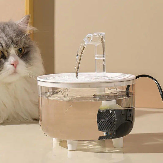 Pet Water Dispenser