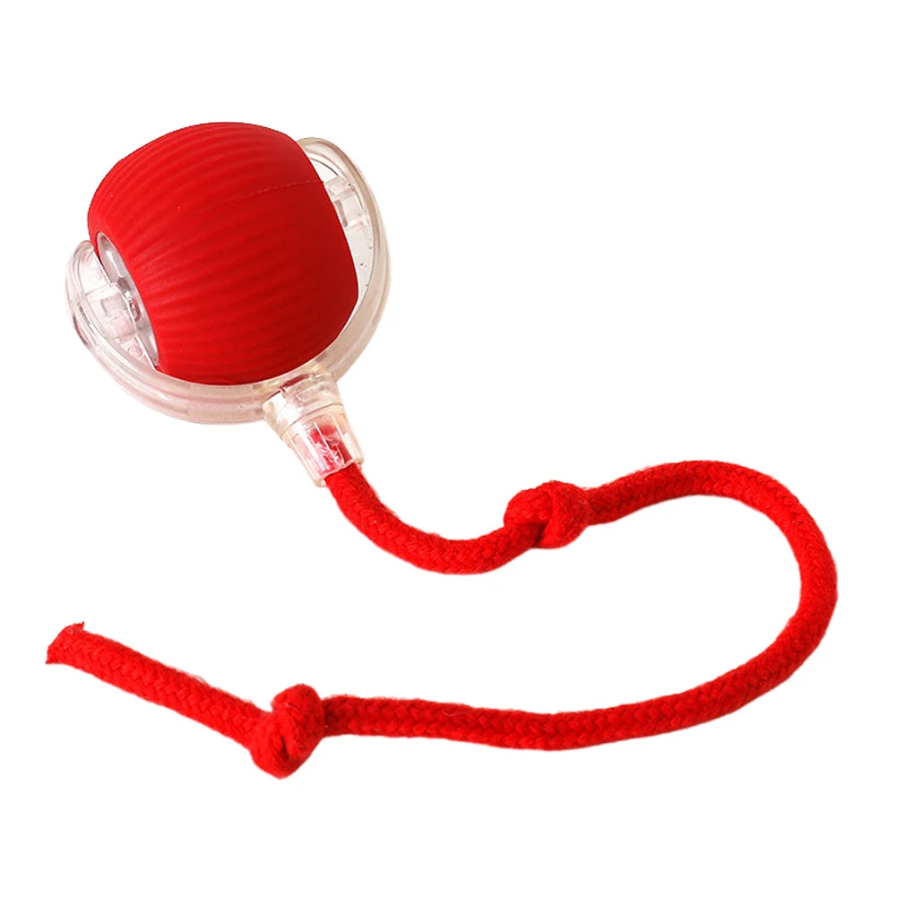 Cat Interactive Ball Toys