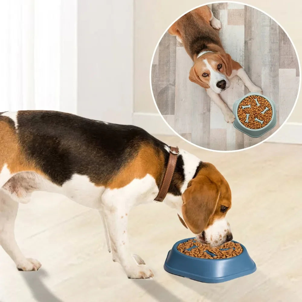 Pet Dog Feeding Food Bowl