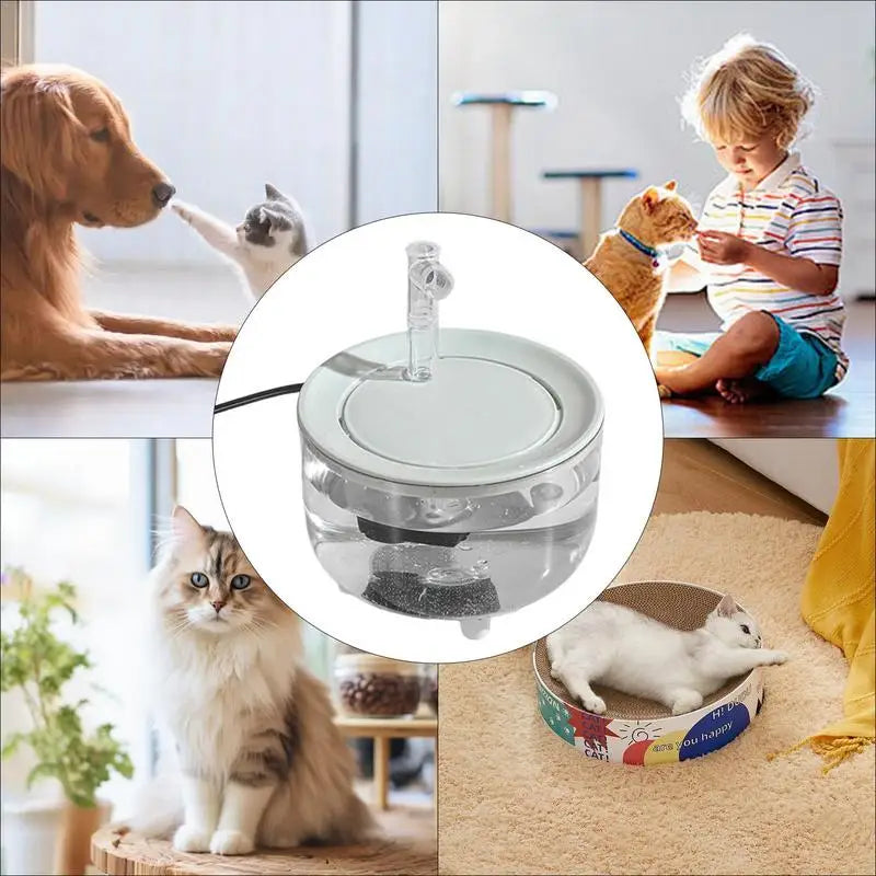 Pet Water Dispenser