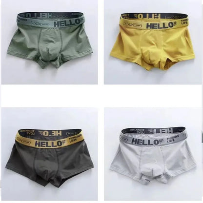 5pcs Men's Quick-Dry Boxer Trunks