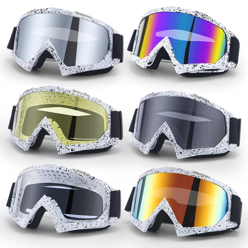 Anti-Fog Ski Snowboard Goggles