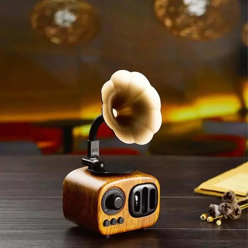 Gift Phonograph Bluetooth Speaker