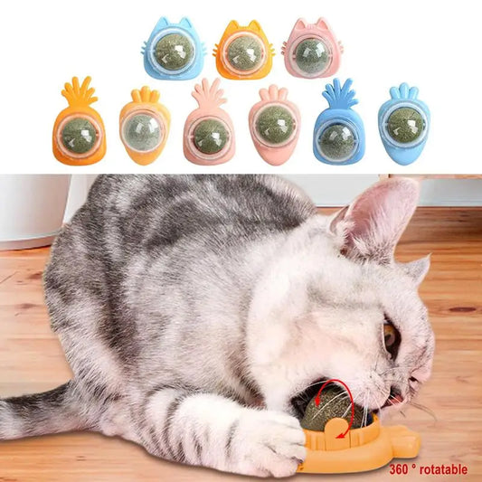 Catnip Wall Ball Toys