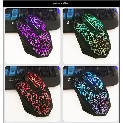 Colorful LED Computer Mouse