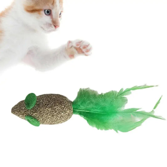 Assortments Cats Molar Catnip Toys