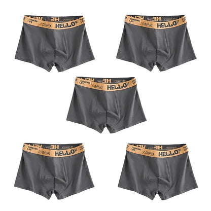 Men's Quick-Dry Boxer Trunks