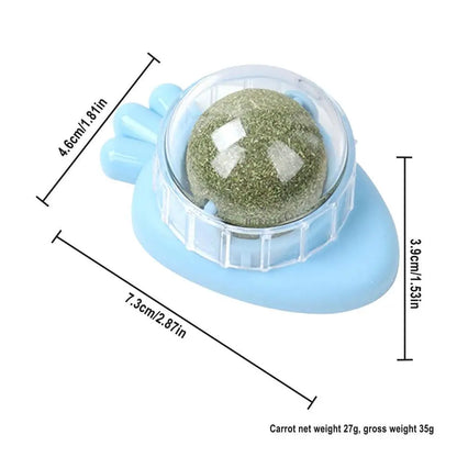 Catnip Wall Ball Toys