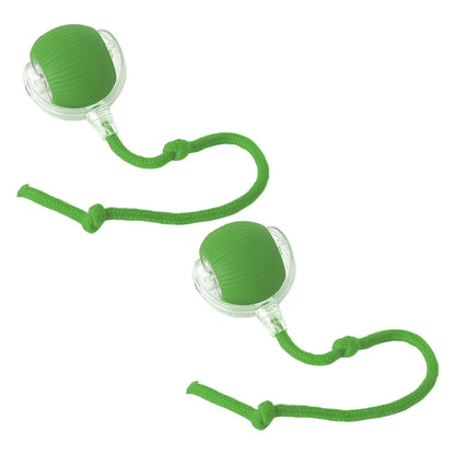 Cat Interactive Ball Toys