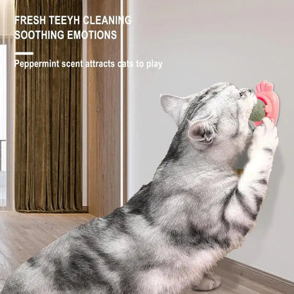 Catnip Wall Ball Toys