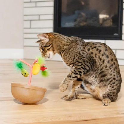 Wobbling Cat Toy Fruit Bowl