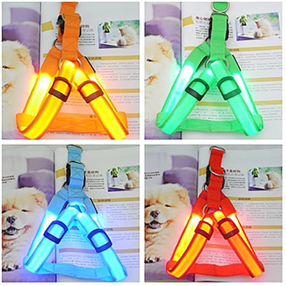 Luminous Dog Harness