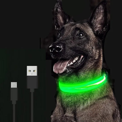 LED Glowing Dog Collar