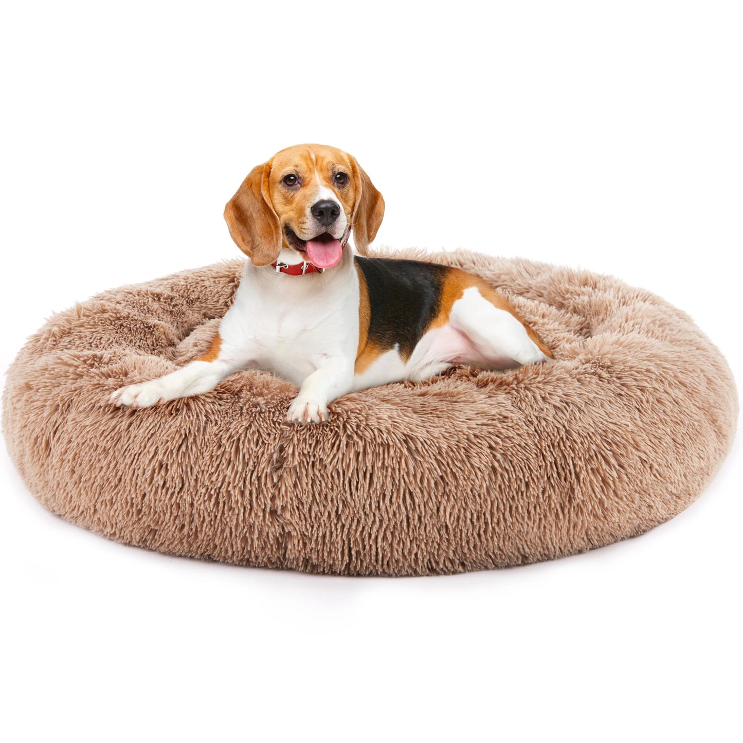 Calming Dog Bed