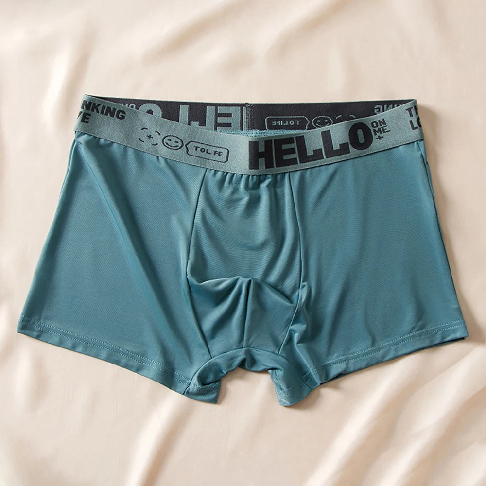 5pcs Ice Silk Boxer Shorts