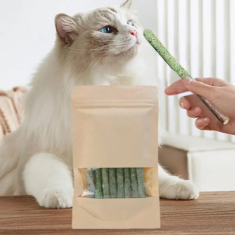 Natural Matatabi Cat Stick Mint Caught Bite Cat Toys