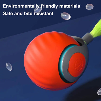 Smart Electronic Interactive Toy