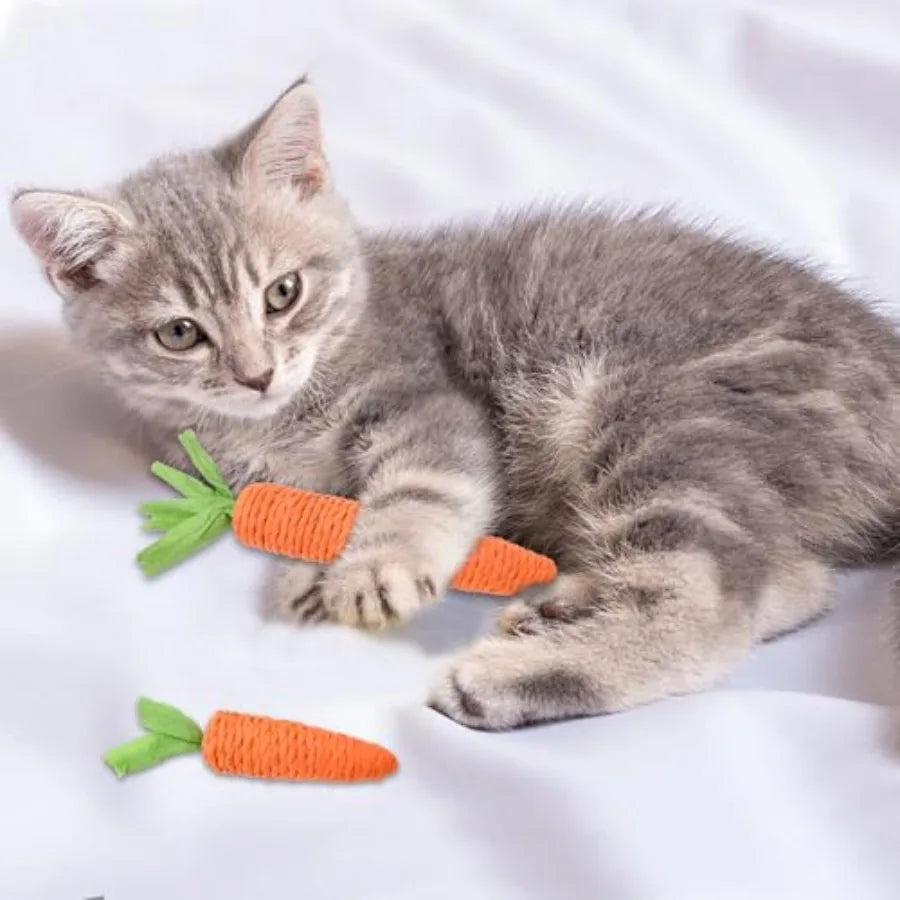 2PCS Cat Chew Toys