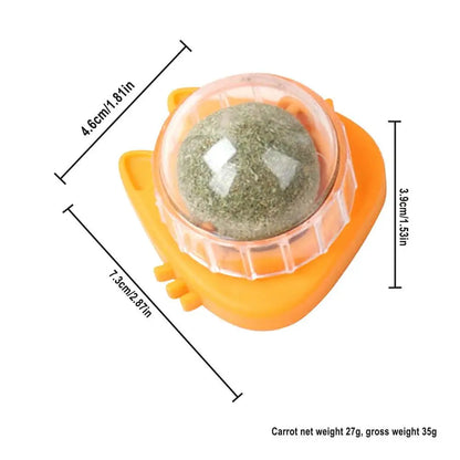 Catnip Wall Ball Toys