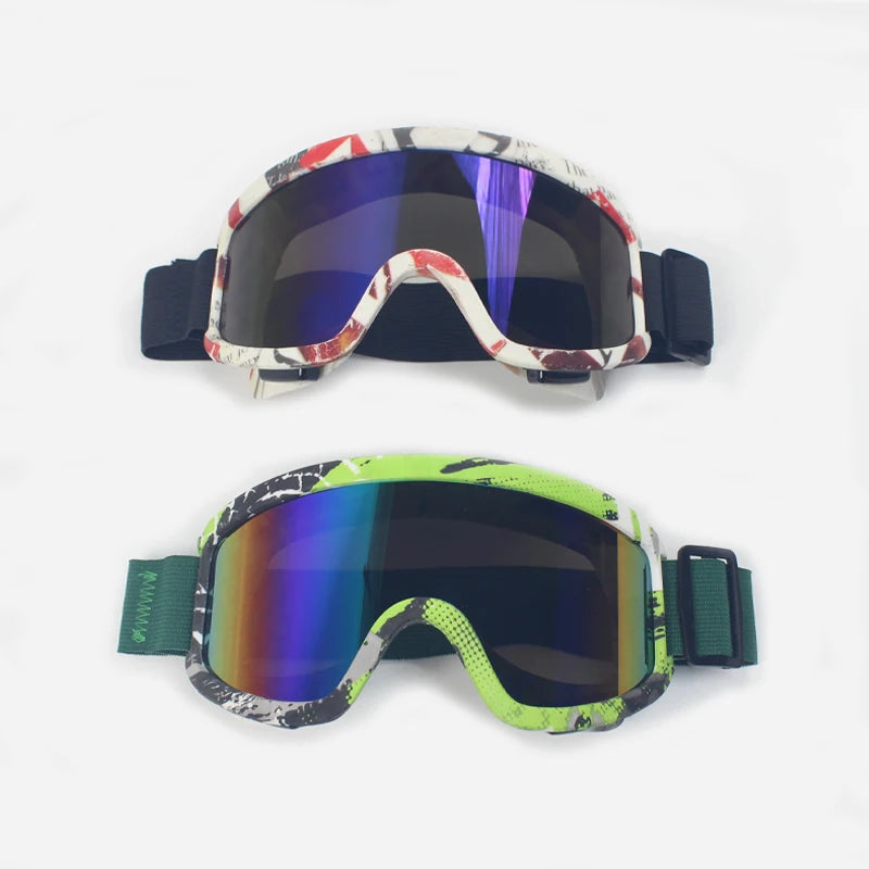 Anti-Fog Ski Goggles