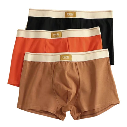 3PCS Cotton Boxer Shorts