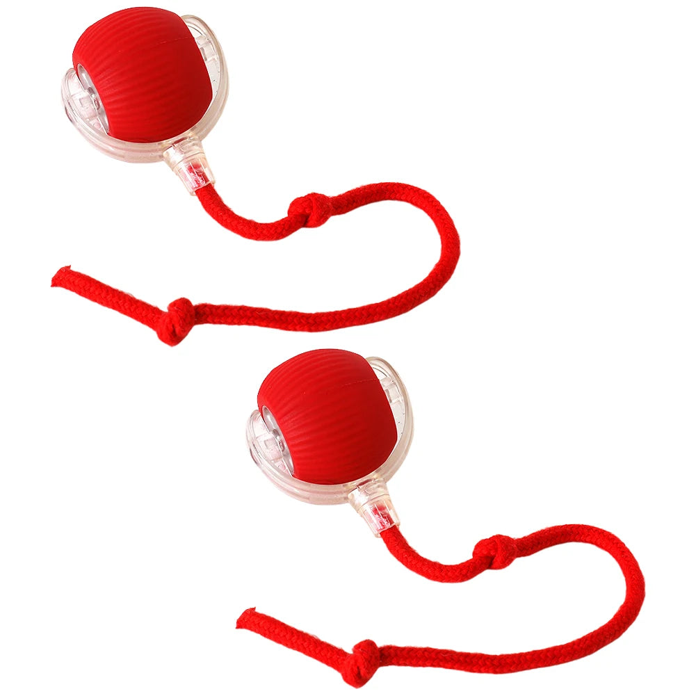 Cat Interactive Ball Toys