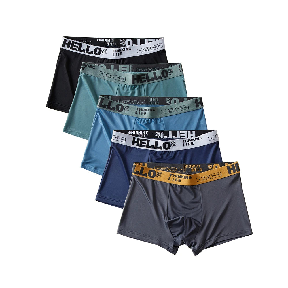 5pcs Ice Silk Boxer Shorts