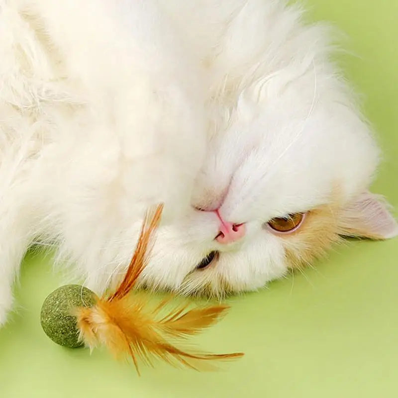 Cat Catnip Catnip Feather Ball Toys