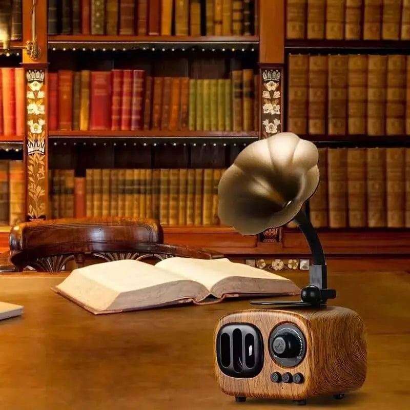 Gift Phonograph Bluetooth Speaker