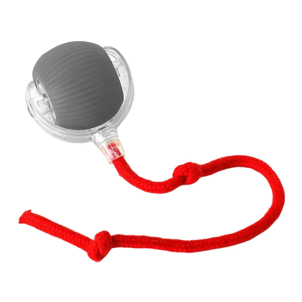 Cat Interactive Ball Toys