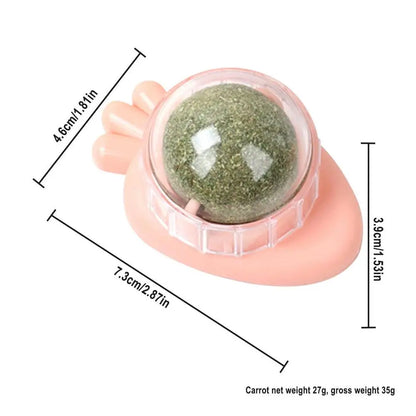 Catnip Wall Ball Toys