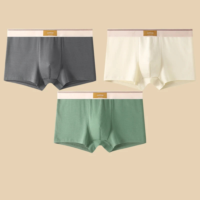 Men's Cotton Boxer Shorts