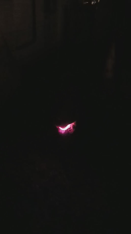 MLH Animals-bright LED dog collars, rechargeable, multiple colors and sizes
