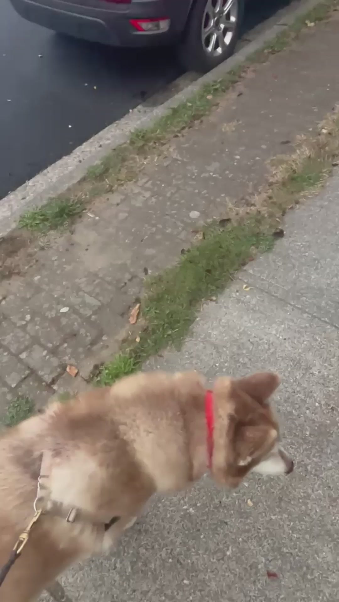 Load video: 